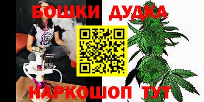 a pvp Кингисепп