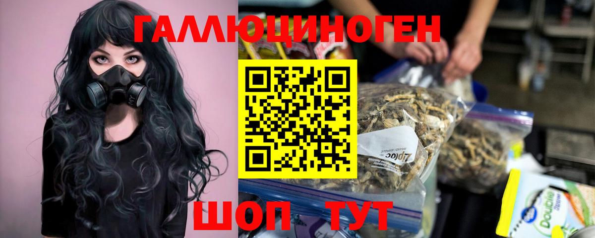 Псилоцибиновые грибы Magic Shrooms  Галлюциногенные грибы Cubensis  Вход с VPN  Красноярск 